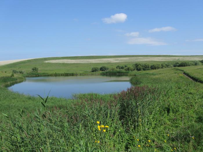 Совхоз  Алтайский