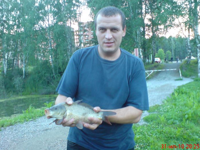 Вот такие сазанчики.