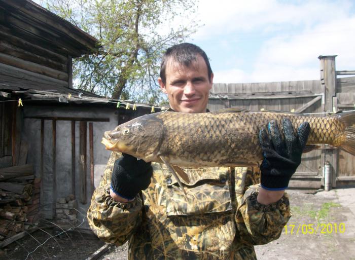 хороший улов сазан