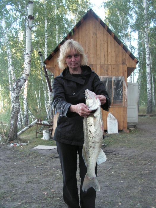 ОВХ. 27.08.10. Судак 4 кг.