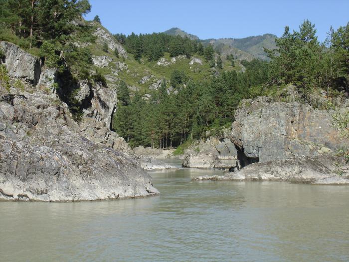 Катунь