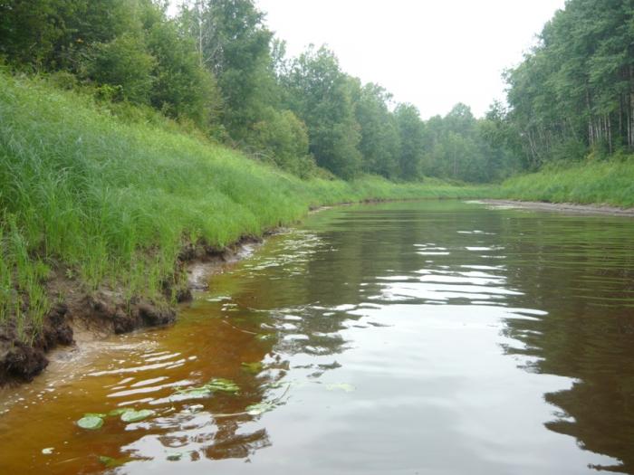 Река Тартас