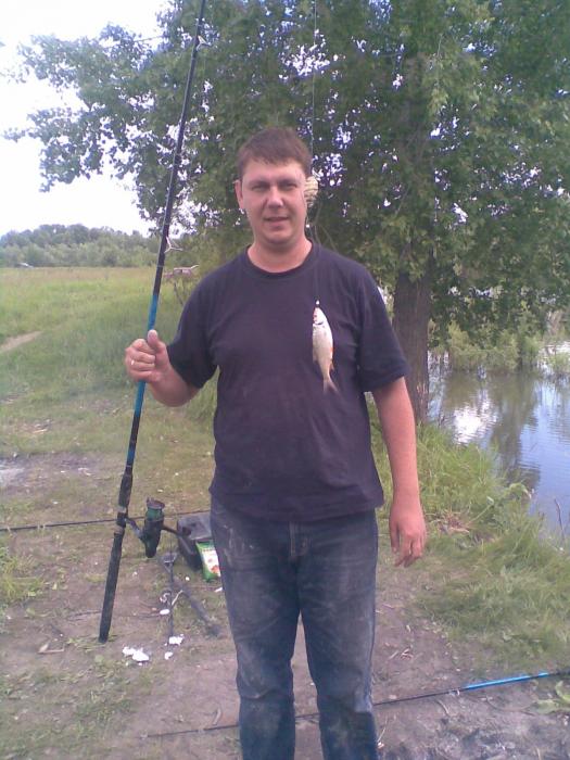 за сутки и всё)