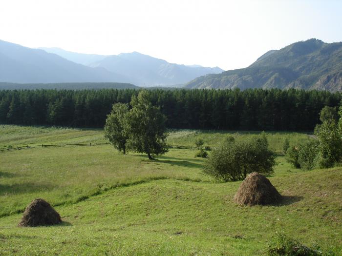 Лужок