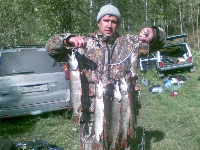 Поймано за 4 часа, с одной точки. Утро, воскресенье.