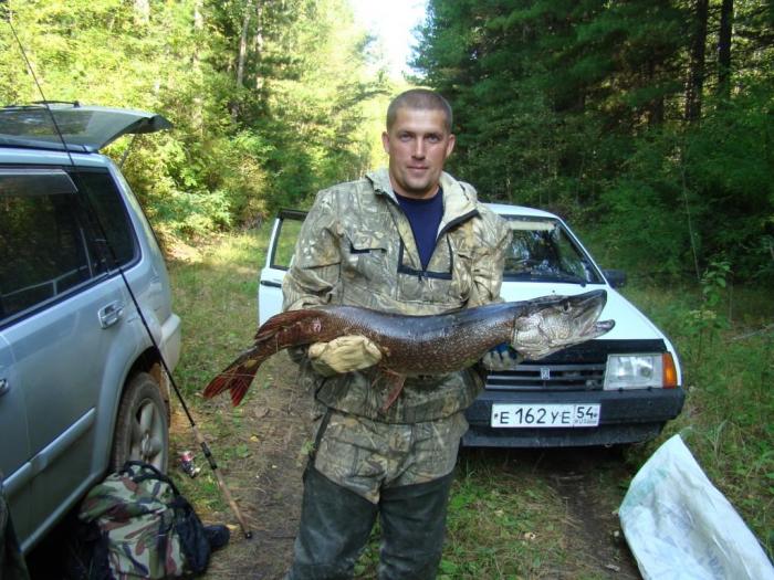 Т.О. Колпашевский р-н