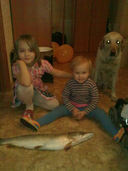Пожарте НАМ щучьих котлет на троих!!! 26.09.2010г.