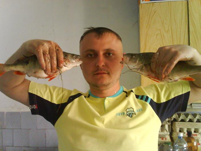 окунь