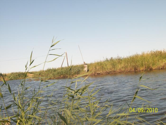 ловим сами