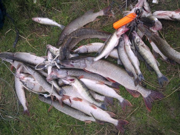 Прогулка по обскому морю