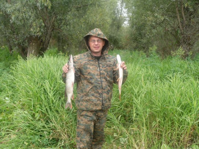 Пара щук на обед