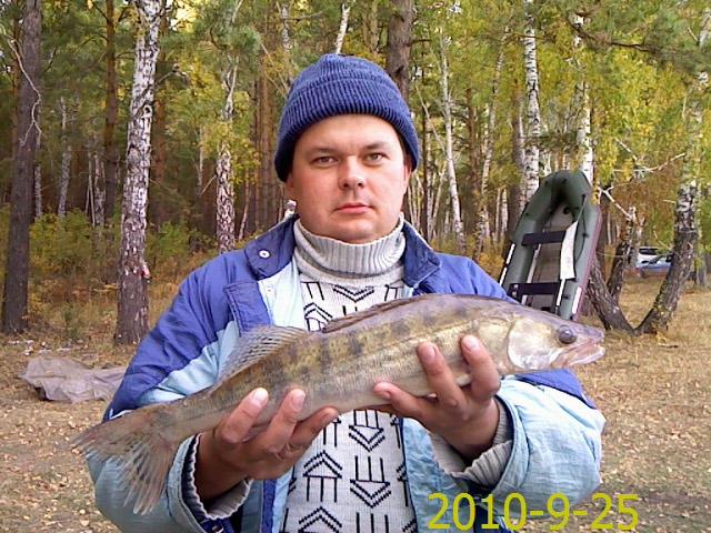 Оказывается высь рып в лесу