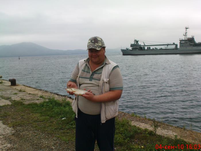 Дальневосточная красноперка