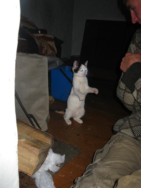ржака)))