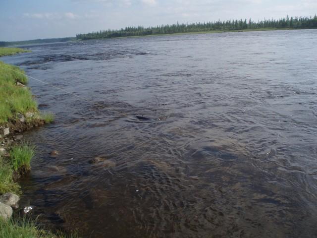 А вот и соперник...