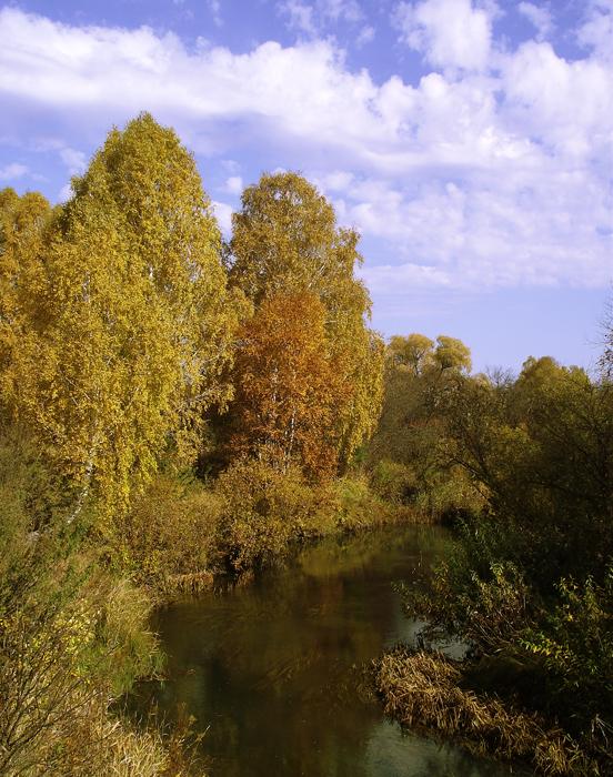 Золотая осень. Коён.