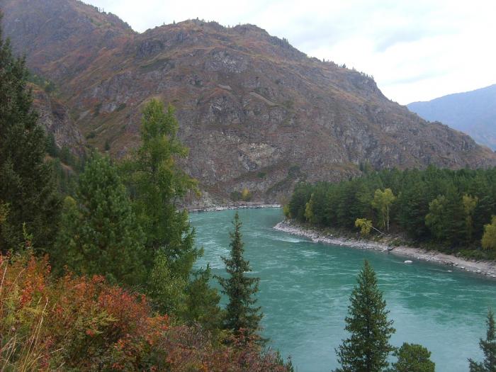 Катунь