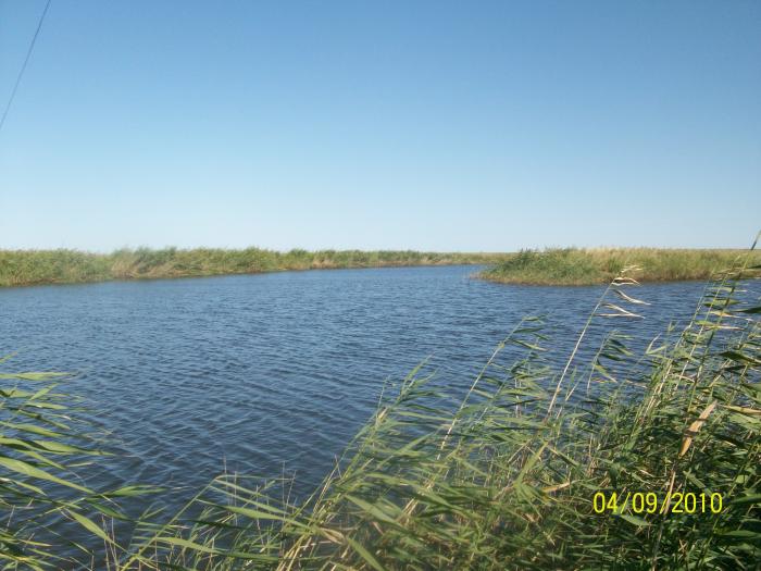 красота