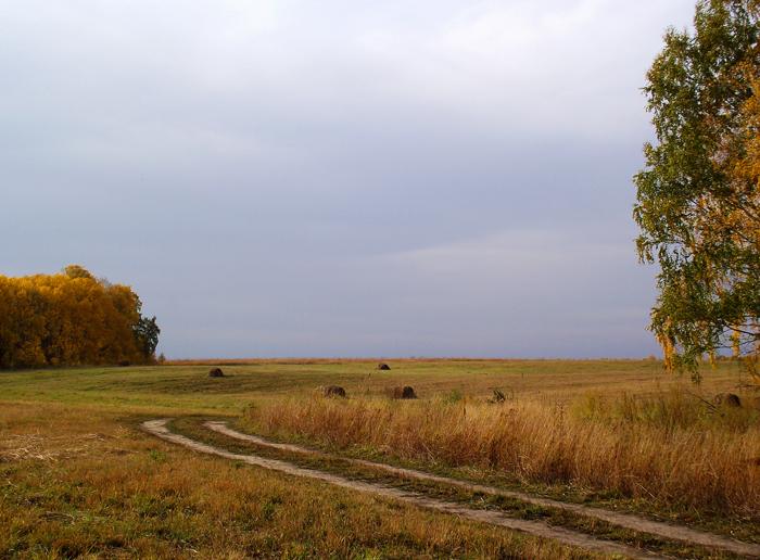 Осеннее поле.