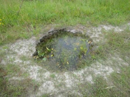 Загатка природы.Уровень реки на 4м ниже.