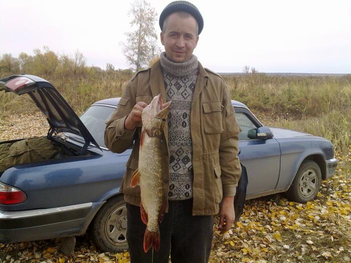 р.уень щука 2.100 кг
02.10.2010