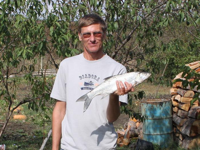 Заключительный жерех в этом сезоне. Устал я уже греться в южных краях, завтра домой - в Новосибирск.