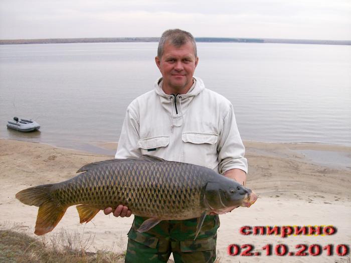 Спирино 02.10.2010 вес11600.взял поролон ртом.
