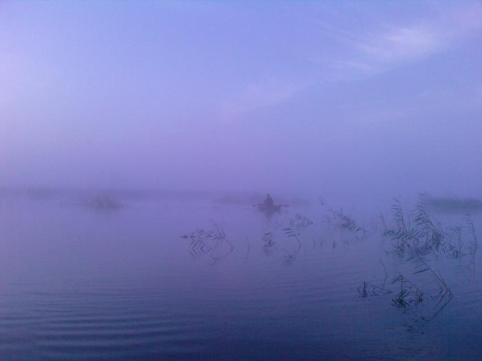 ежик 

