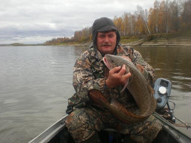 Налим 5 кг