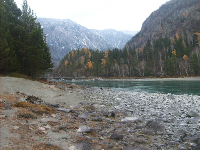 Катунь