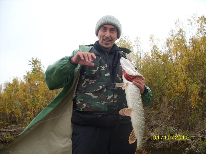 видим всплески, заходим с правого фланга, окружаем, и бац.. двушка тянет под корягу:)