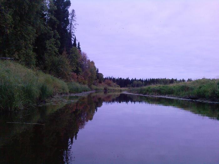 бакса

