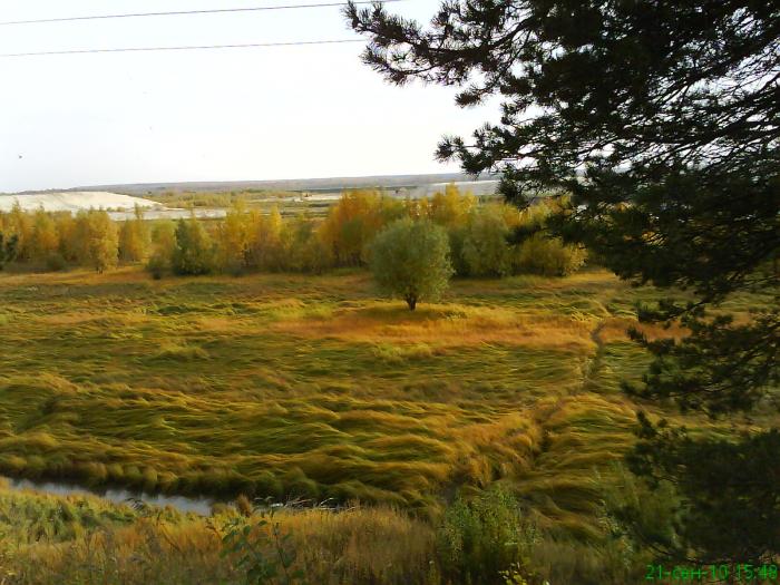 Кррасота, осень прекрасна.