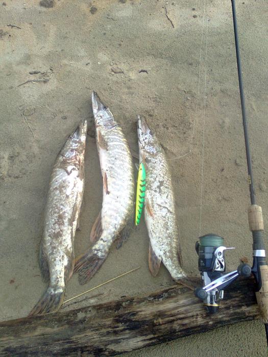 Щучки на rapala hj 14