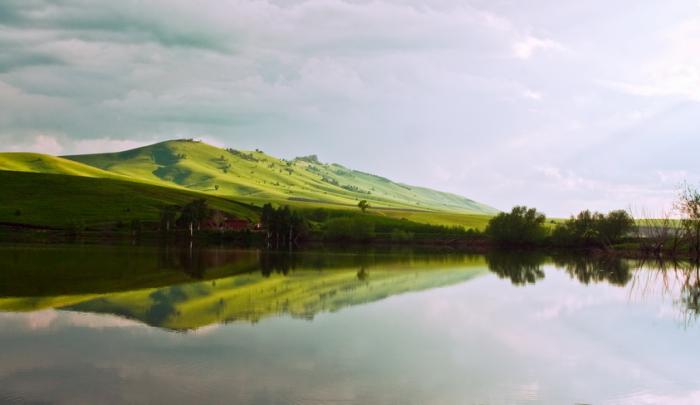 тут есть амуры и карпы