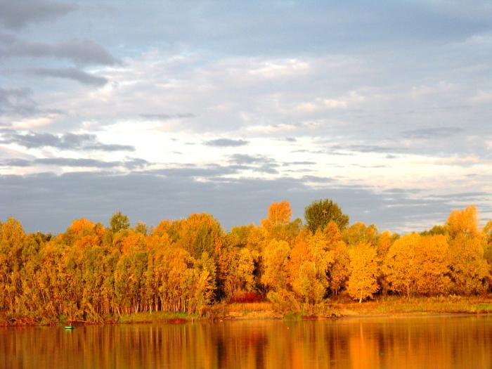 Осень 2