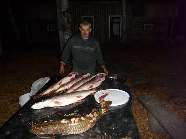 Дневной улов