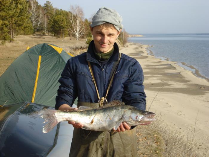 Спирино.Зачетный судак,3 кг.