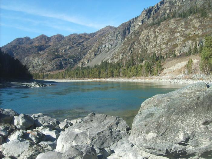 Катунь
