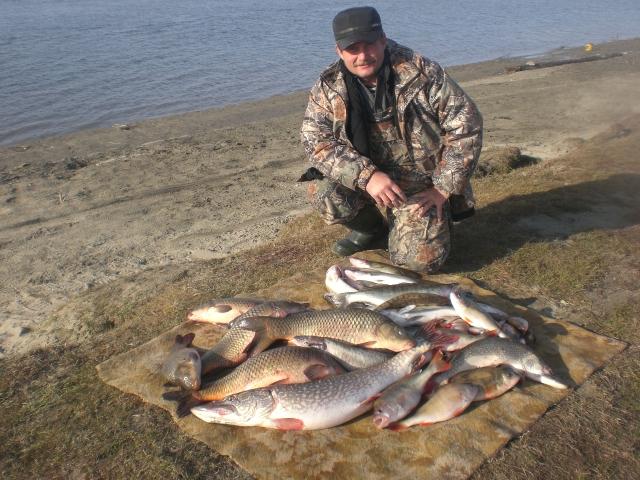 Щука 5,500,Сазан 4200,Судак 1200,Окунь 900гр
