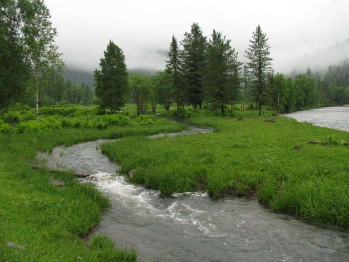 Алтай, р. Иогачка (2008)