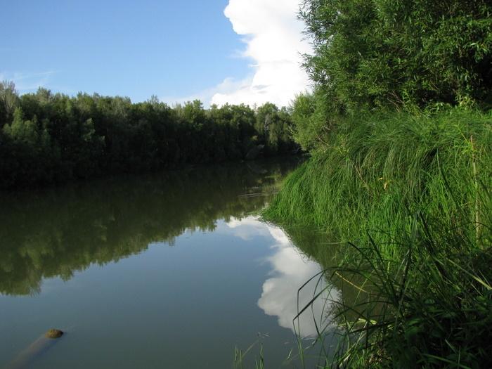 Лето 2009