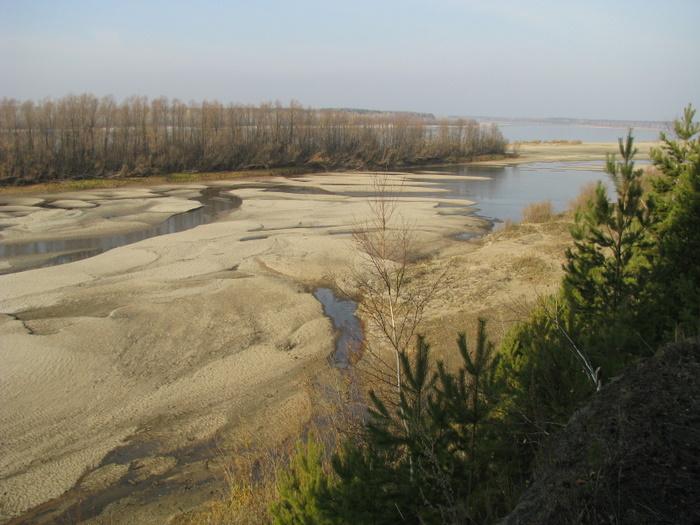 Выход из протоки (остался лишь ручеек). Осень 2010