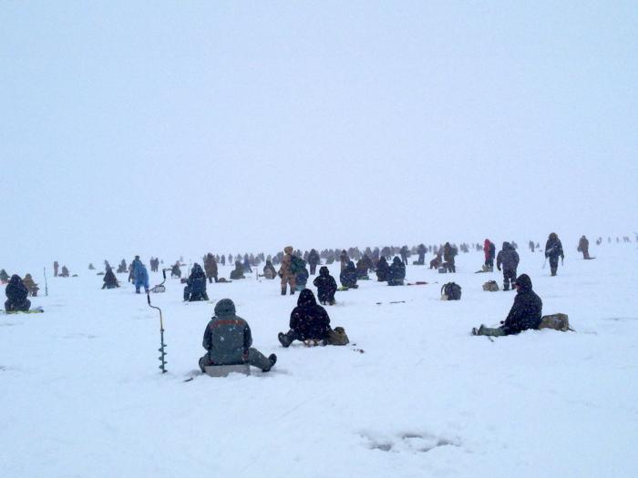овх