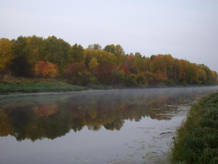 ...краски осени