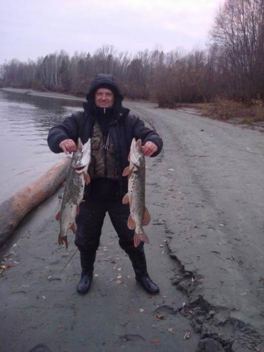 Закрыл...2