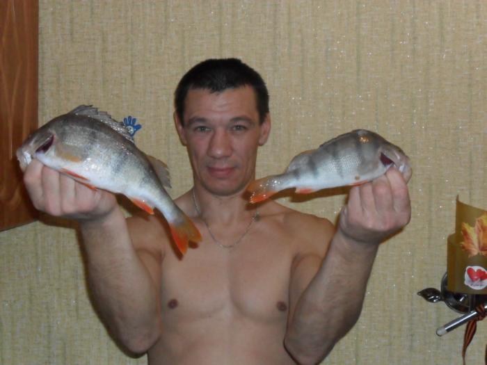 шарап