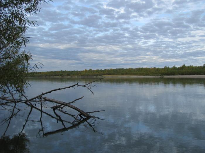 Осеннее утро