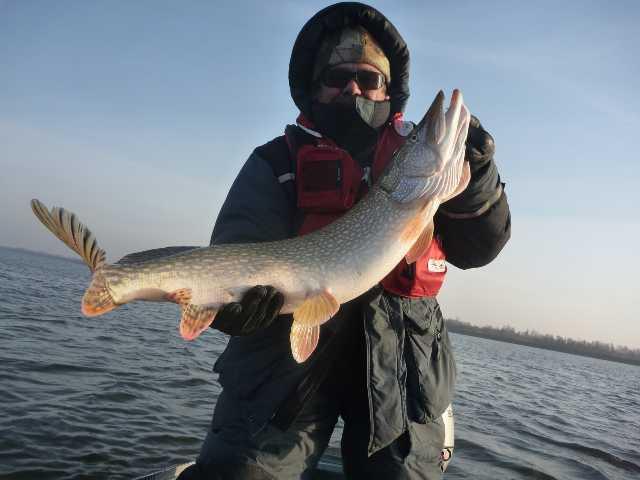День 4-й, 7.2кг