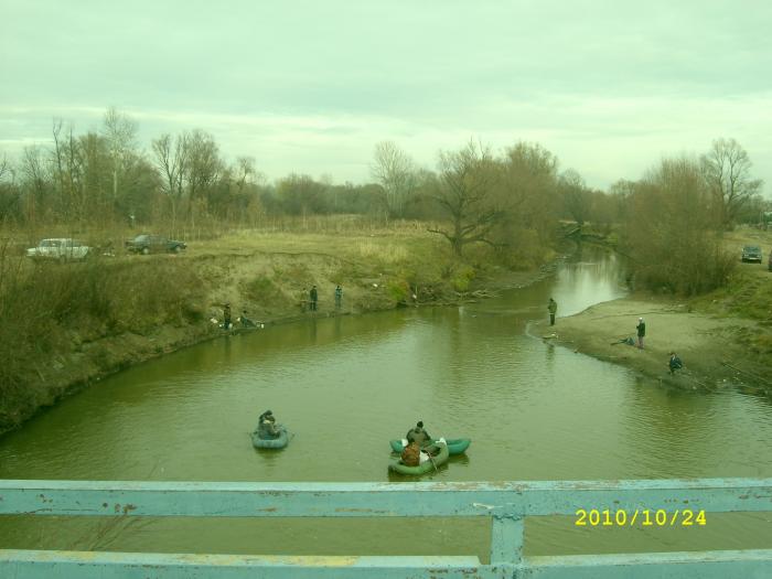 уень осень 2010